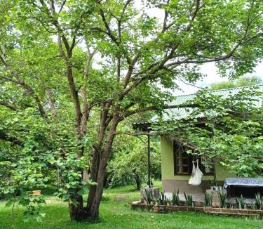 Lusaka Central House | Mikooka Estate