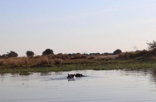 Chirundu Other | Mongwe Safari Camp