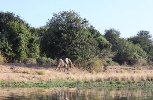 Chirundu Other | Mongwe Safari Camp
