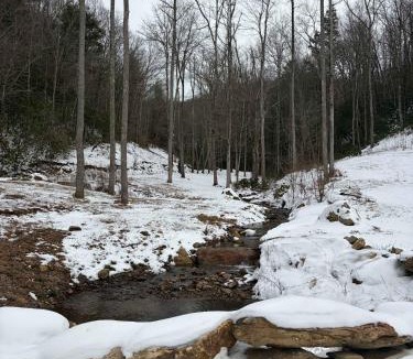 Flat Rock House | Mountain Cabin & Creek-Front Nature Retreat NC