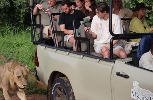 South Luangwa National Park Cabin | Msandile River Lodge