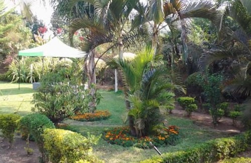 Ndola Cabin | Muuka Gaderns lodge