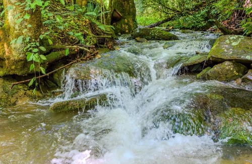 Bryson City House | Newly Renovated Log Cabin, Hot Tub, Roaring Creek