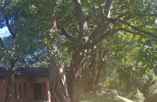Chirumhanzu Hostel | Nyangombe Backpackers