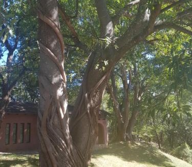 Chirumhanzu Hostel | Nyangombe Backpackers