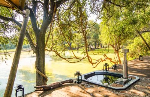 South Luangwa National Park Cabin | Painted Dogs Lagoon