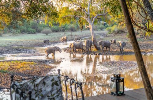 South Luangwa National Park Cabin | Painted Dogs Lagoon