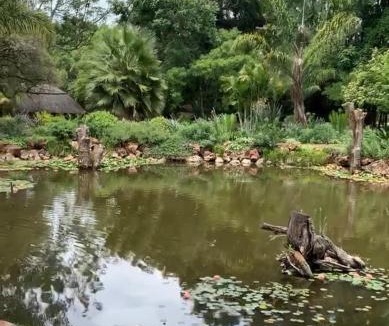 Harare East House | Piers Villa E