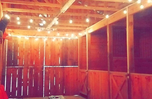 Toccoa Apartment | Private Setting Studio Apartment