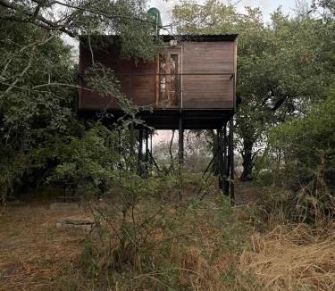 Simonga Apartment | Roots in the River