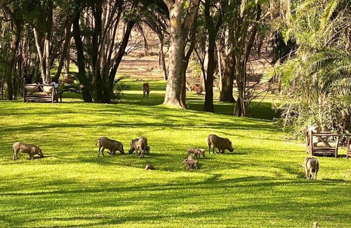 Lusaka Resort | Sakae Paradise Resort