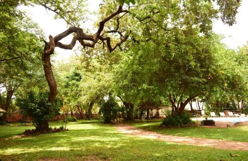 Victoria Falls Hostel | Shoestrings Backpackers Lodge Vic Falls