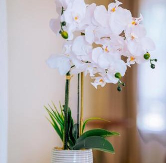 Gweru House | Sunderdale