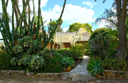 Bulawayo Apartment | Superb tropical setting 4