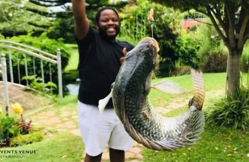 Lusaka Bed & Breakfast | T3C GARDENS