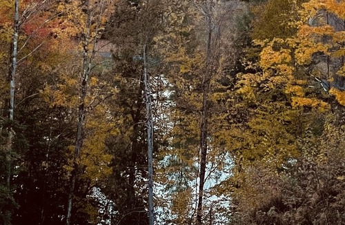 Moscow RV Rental | Tentrr Signature Site - Critter Creek Stowe Campsite