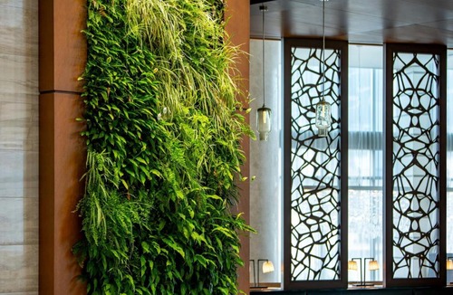 Central Sarasota Hotel | The Westin Sarasota