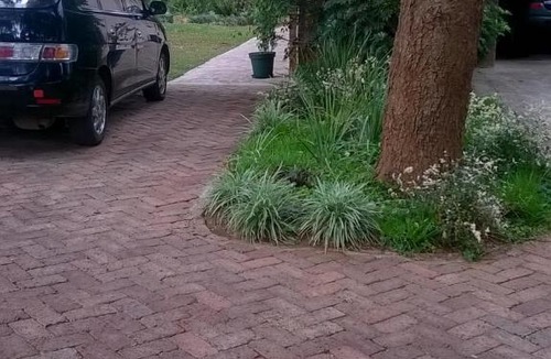 Harare East House | Tinotenda Cottage