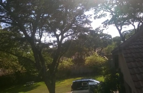 Harare East House | Tinotenda Cottage