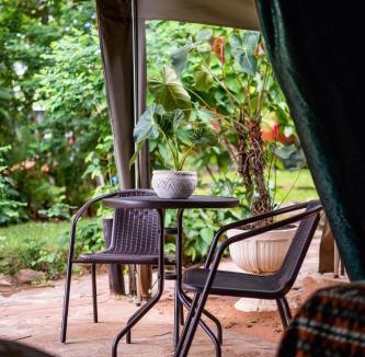 Victoria Falls Hostel | Victoria Falls Backpackers Lodge