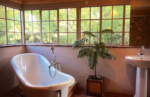 Juliasdale Apartment | Victorian style cottage in Nyanga - 2096