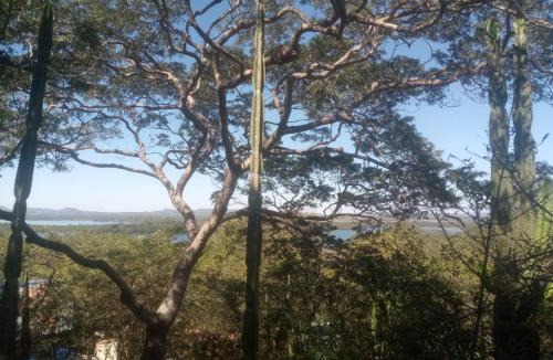 Masvingo Bed & Breakfast | Weaver's Nest Backpackers Accommodation