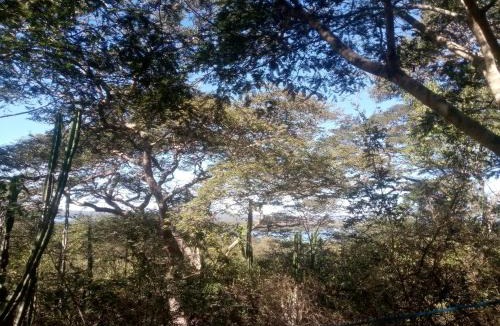 Masvingo Bed & Breakfast | Weaver's Nest Backpackers Accommodation