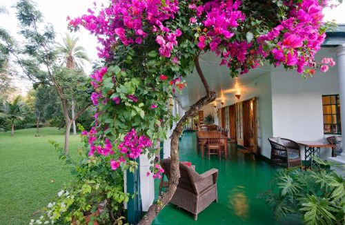 Harare East Bed & Breakfast | York Lodge