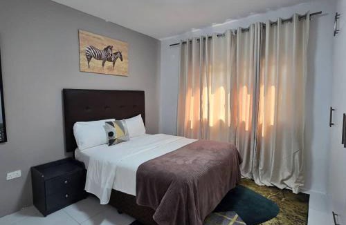 Kitwe Apartment | Zachi Zebra Apartment