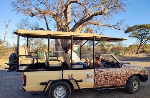 Victoria Falls Villa | Zambezi Family Lodge - Lion Room