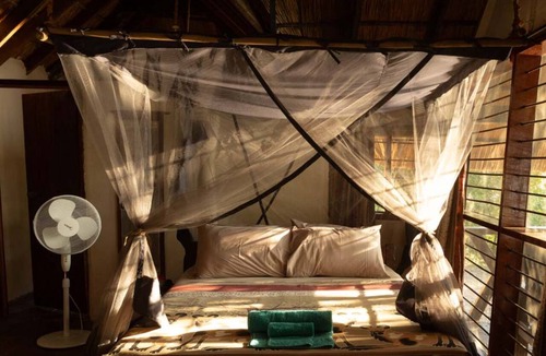 South Luangwa National Park Other | Zikomo Safari