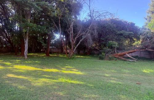 Ryelands Hotel | Zim Safari Guest Lodge