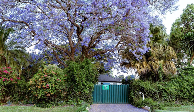 3BR Vacation Home Amidst Lush Garden. Perfect for family.