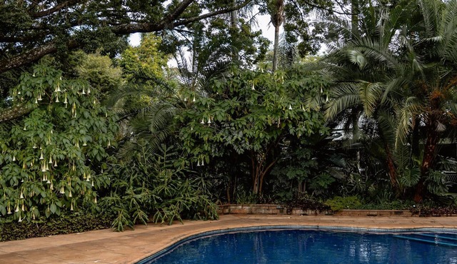 5 * Sandalwood Lodge is situated in the peaceful up-market suburb of Mount Pleasant - 2018