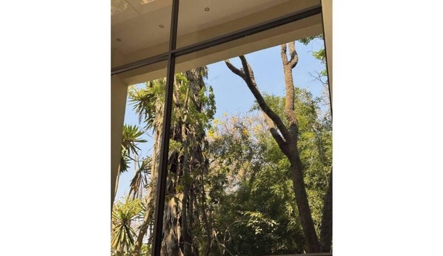 Bamboo-view Breeze Nest
