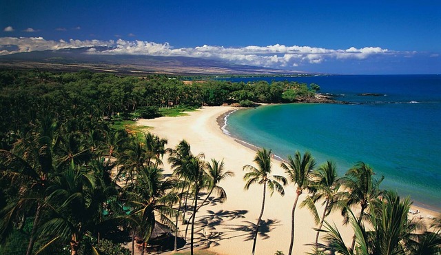 BEST PLACE TO STAY! Close to Kamuela Town and World Class Mauna Kea Beach!