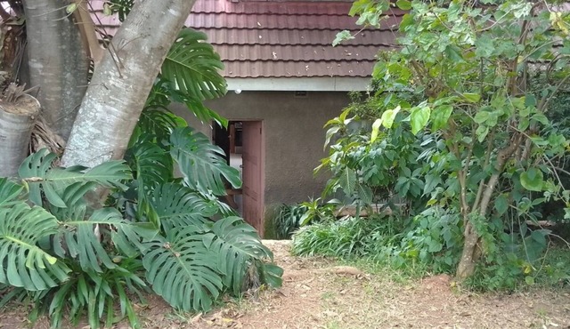 Charming and Serene Retreat: The Stonehouse - Your Perfect Getaway!