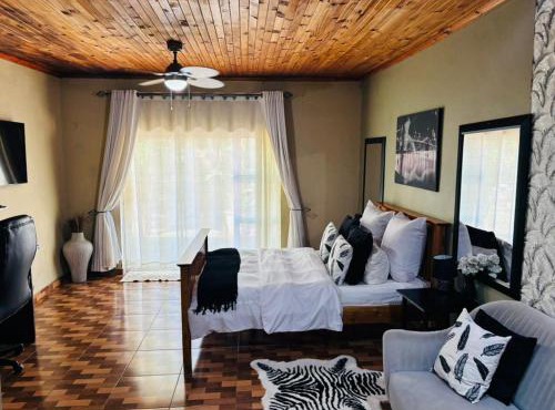 Contemporary room at Palm Rose - 2372