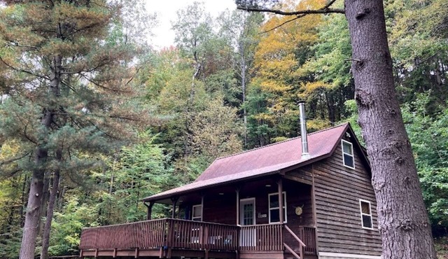 Cozy Cabin in the woods 2 br + 1 loft br, 1 bath. Large deck, beautiful views