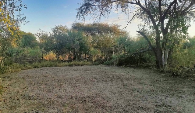Delightful campsite in nature between Maun & Moremi
