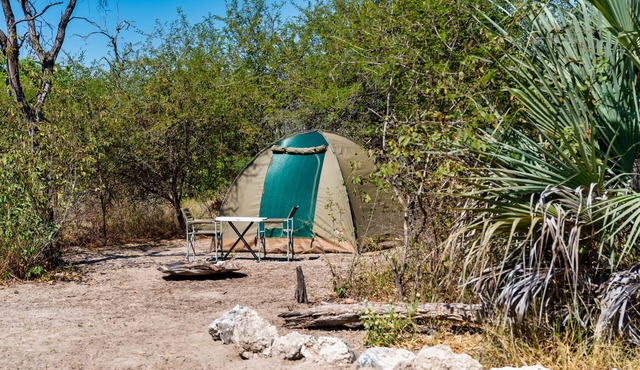 Empty campsite in natural farm between Maun and Moremi