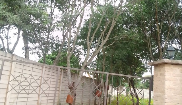 Garden Guest House Bed & Bre Chitungwiza