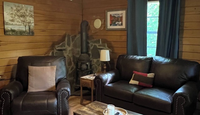 Hot Tub, Near Bryson City, Fontana Lake, Pets Ok, Gated Deck and Community lake
