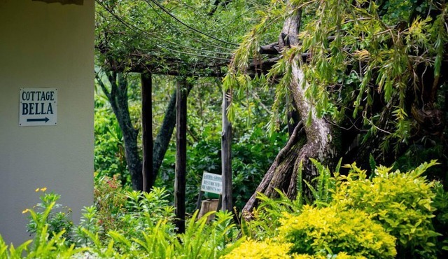 Inn on the Vumba Hotel