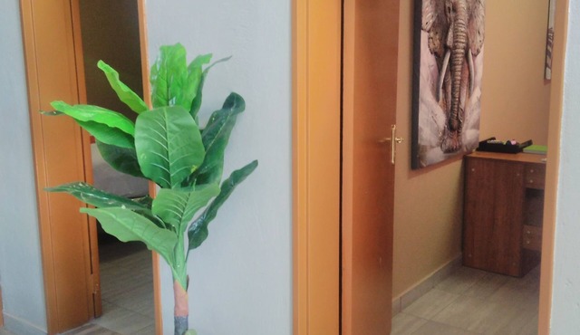 Kopong Guest House