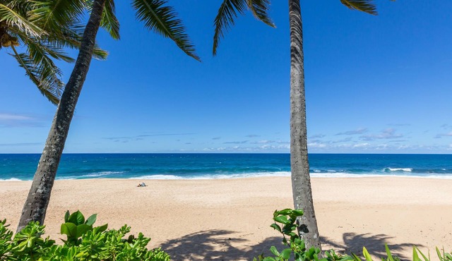 Log Cabins Beach Home