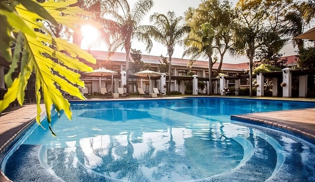 Look No Further! 3 Contemporary Units, Outdoor Pool, Free Shuttle and Parking!