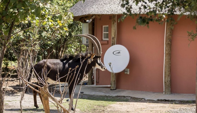 Mokorro Game Ranch and Lodge