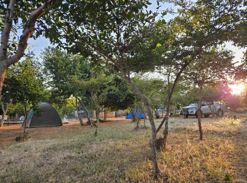 Mungongo Campsite