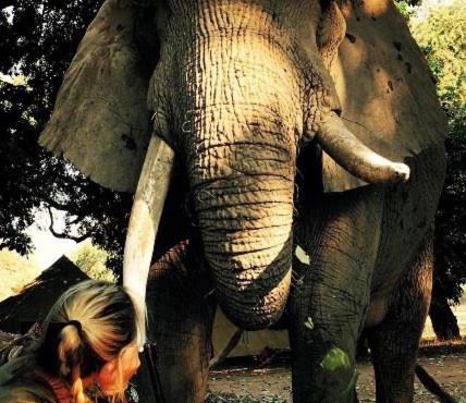 Mwinilunga Safaris